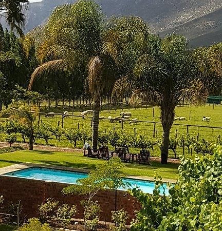 Long Acres Cottages Montagu Εξωτερικό φωτογραφία