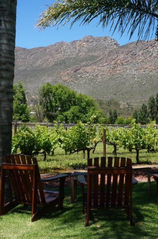Long Acres Cottages Montagu Εξωτερικό φωτογραφία